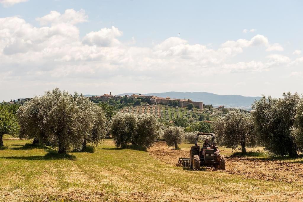 Tenuta Campospillo Magliano in Toscana Exterior foto