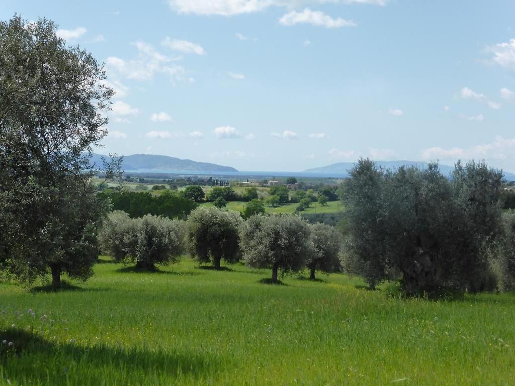 Tenuta Campospillo Magliano in Toscana Exterior foto