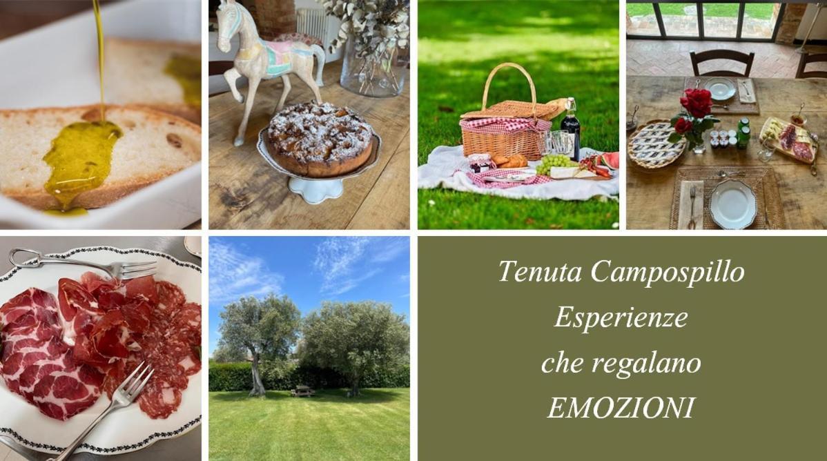 Tenuta Campospillo Magliano in Toscana Exterior foto